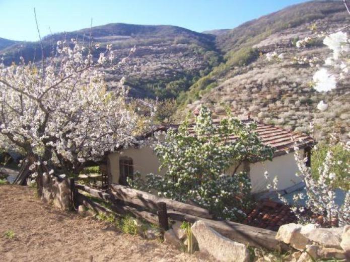 Casas Rurales El Cerro y El Cerezo Navaconcejo Exterior foto